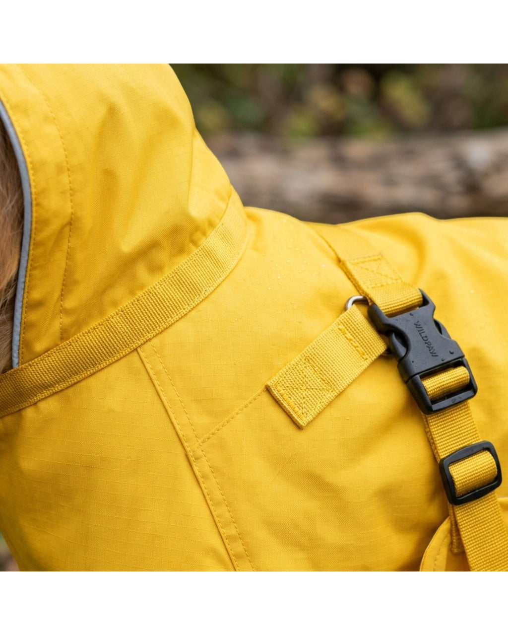 Hbmxf Dog Raincoat Waterproof Polyester Yellow Size M