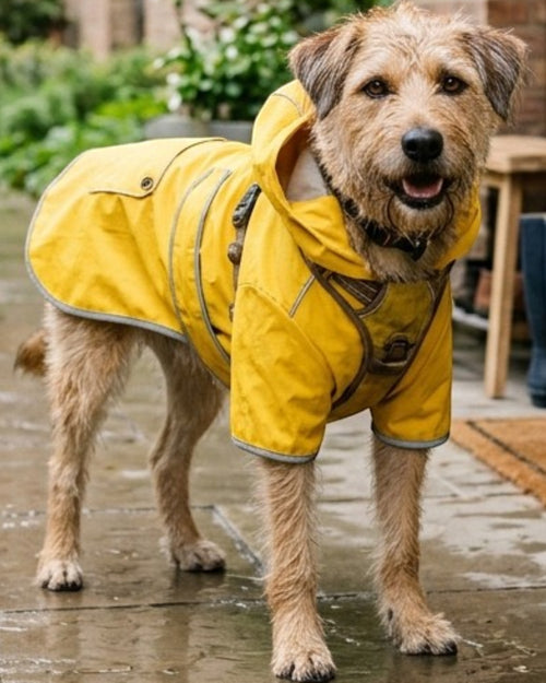 Hbmxf Dog Raincoat Waterproof Polyester Yellow Size M